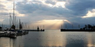 Jak poprawić klarowność wody w oczku wodnym?