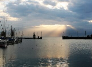 Jak poprawić klarowność wody w oczku wodnym?