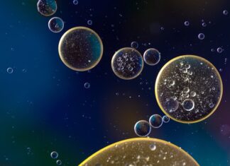 Ile powinno być oleju w kosiarce?