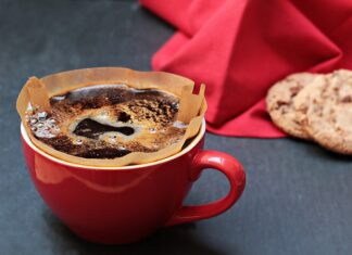 Jak zrobić filtr do oczka wodnego?