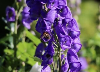 Po co kominiarka pod kask motocyklowy?