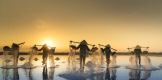 Czy dodawać sól do oczka wodnego?