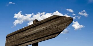 Jakie znaczenie ma znakowanie kolorami drobnego sprzętu kuchennego?