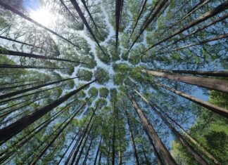 Jak zamontować daszek nad drzwiami?