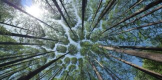 Jak zamontować daszek nad drzwi na styropianie?