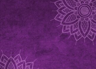 Ile wynosi mandat za brak kasku?