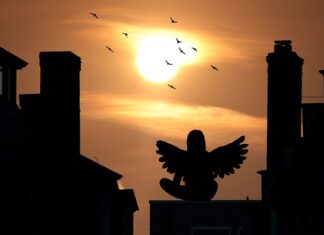 Dlaczego nie można budować domów z płaskim dachem?