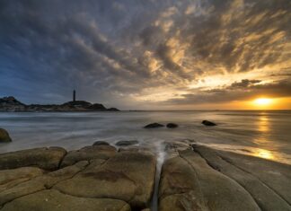 Czym się różni rattan od wikliny?