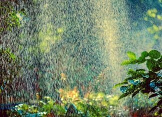 Ile zraszaczy na jednej linii?