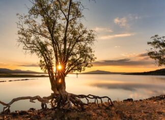 Jaki zbiornik do nawadniania?